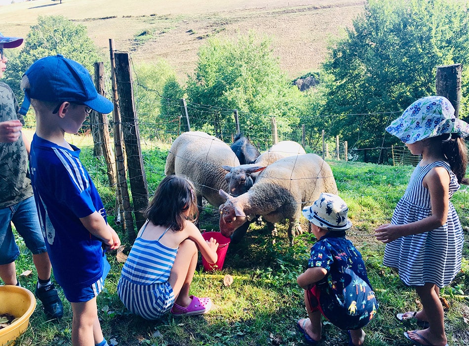 TOP 10 des fermes pédagogiques en France - Tiniloo